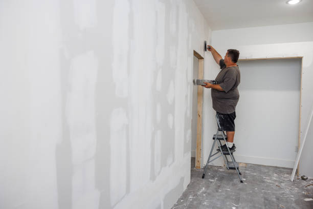 Best Mold Odor Removal Services  in Golden Beach, MD