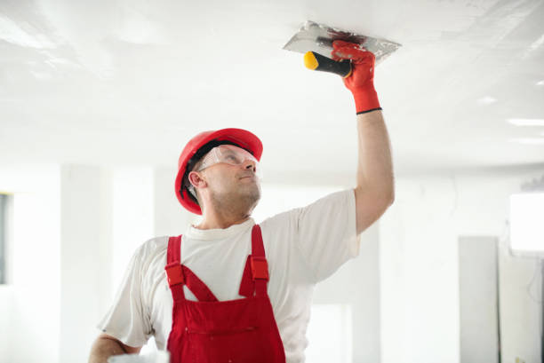 Best Forensic Mold Investigation  in Golden Beach, MD