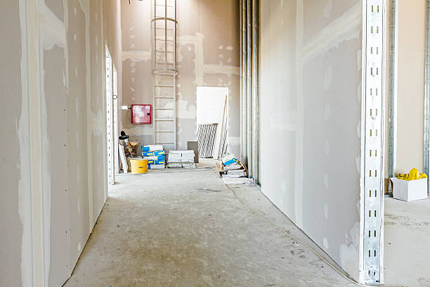 Best Mold Odor Removal Services  in Golden Beach, MD